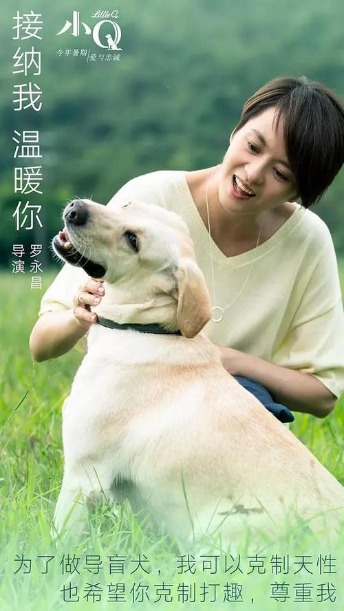办理成人教育毕业证